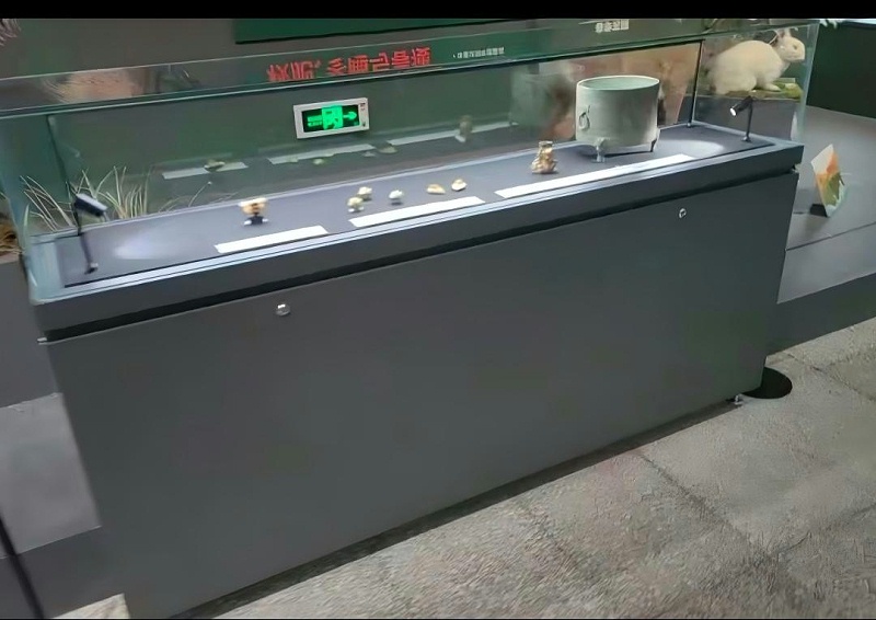 河北博物院展柜